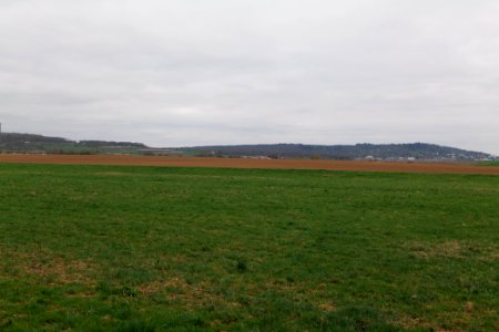Fields and meadows in Ockstadt 2021-04-02 05
