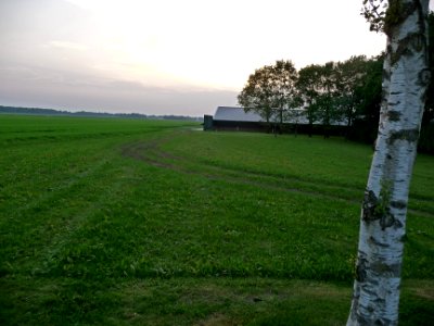 Fields and large barn in the evening set on Laaghalerveen, landscape Netherlands, 2012