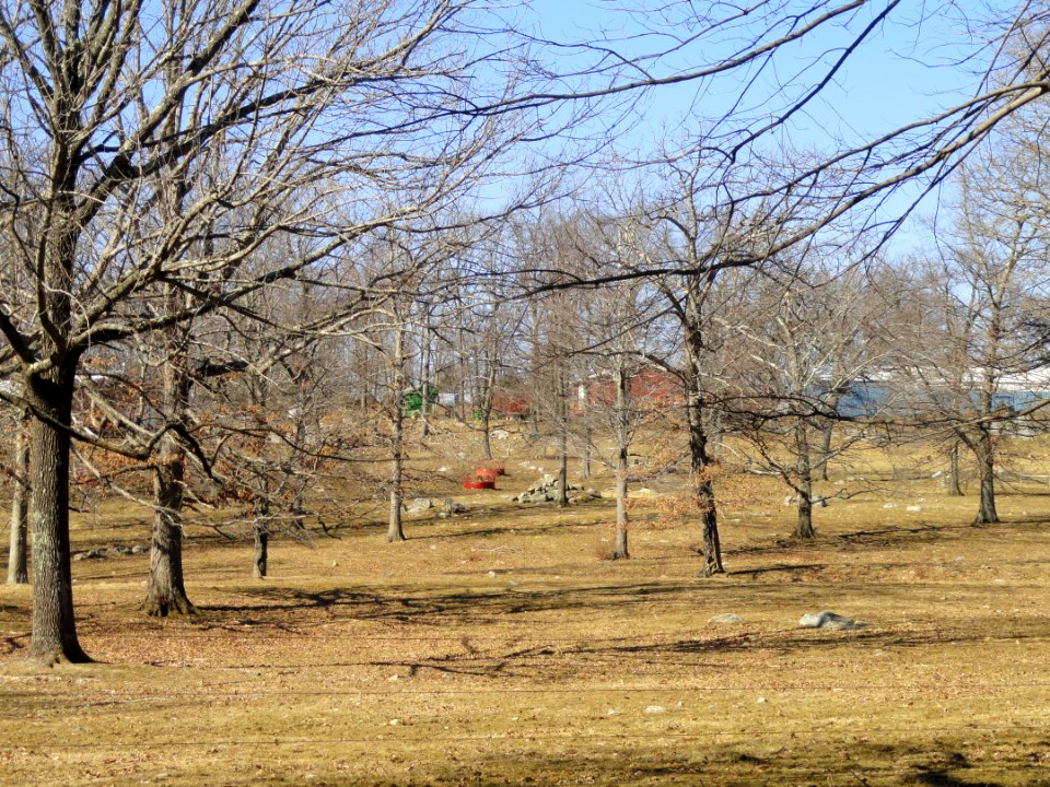 Fields - Cummings School of Veterinary Medicine - North Grafton, MA - DSC04511