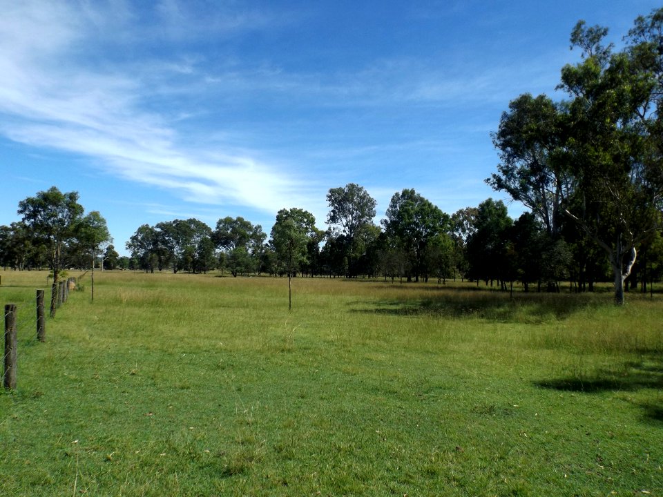 Fields along Carmichaels Road Purga