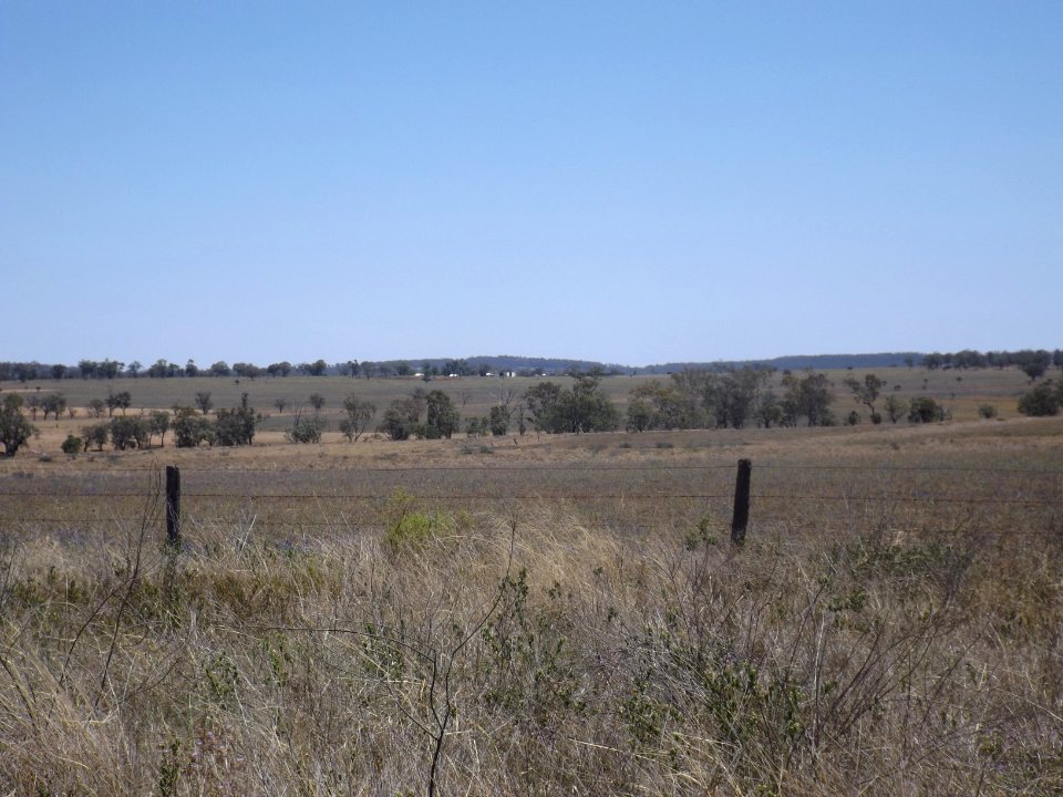 Fields at Southbrook