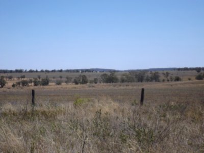 Fields at Southbrook