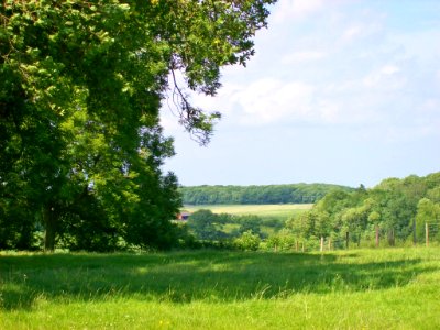 Fields at Naseby