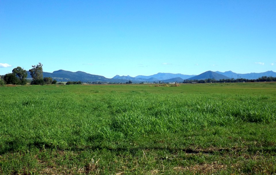 Fields at Kents Lagoon