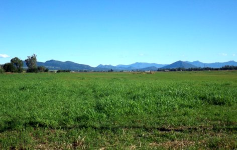 Fields at Kents Lagoon