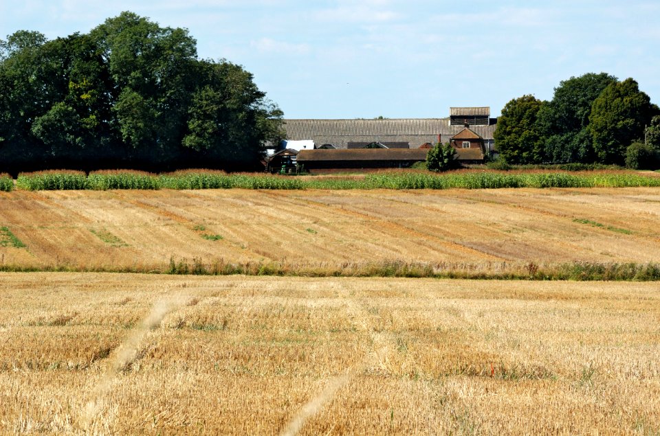 Fields-and-buildings-Rothamsted-20050828-003