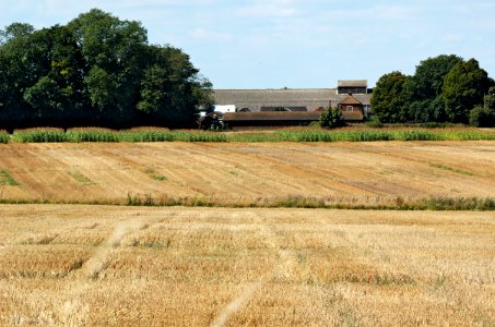Fields-and-buildings-Rothamsted-20050828-003