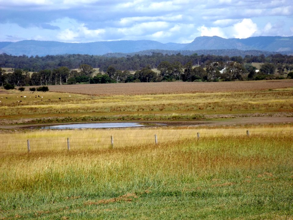 Fields in Tamrookum