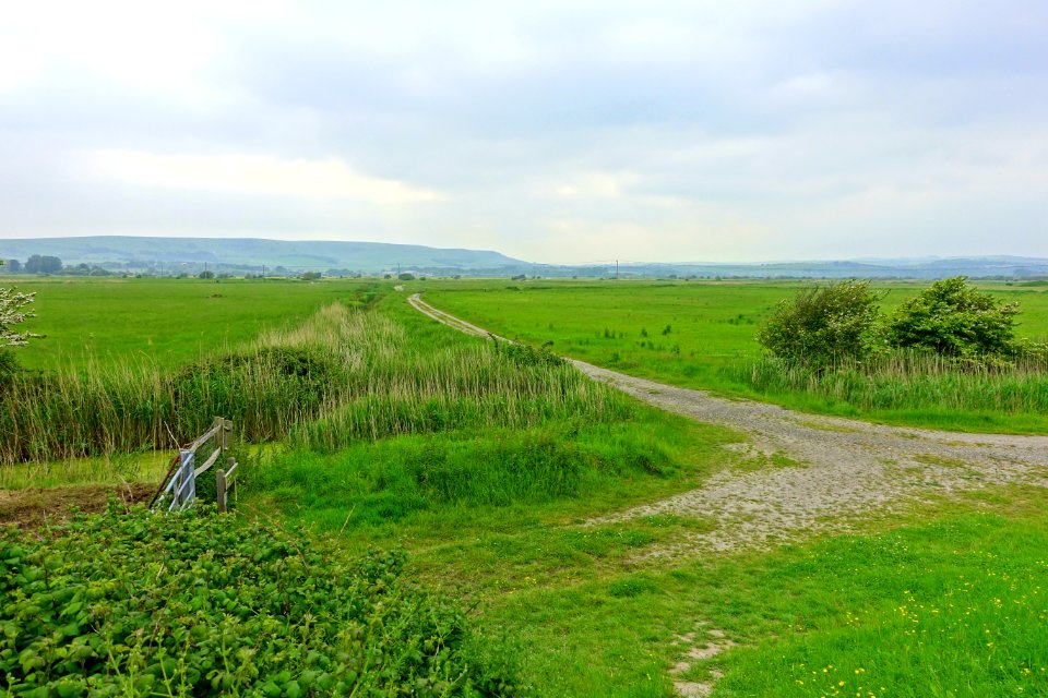 Fields near Monk's House - Rodmell, East Sussex, England - DSC05333