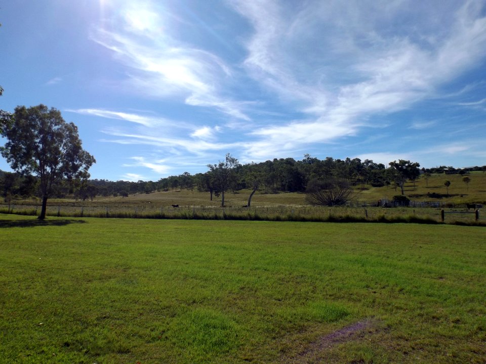 Fields in Rosevale 2