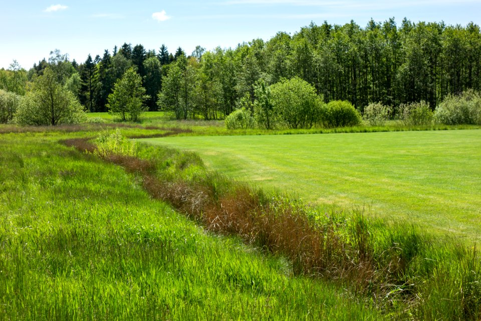 Fields at north Myrstigen track 3