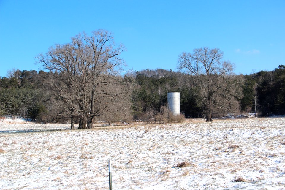 Field in Funkhouser, Georgia, Jan 2018