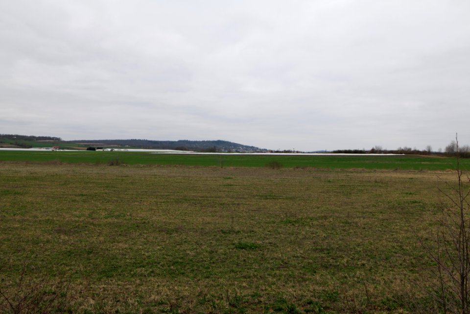Fields and meadows in Ockstadt 2021-04-02 13
