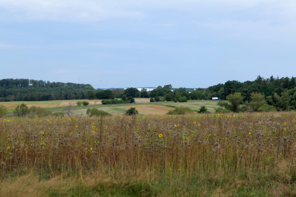 Fields near Niederklein 2020-08-21 08