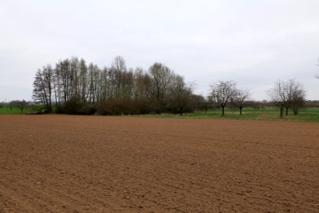 Fields and meadows in Ockstadt 2021-04-02 18