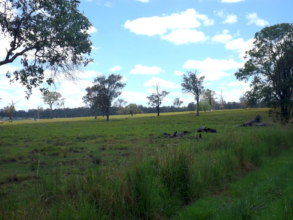 Fields in Woodhill, Queensland