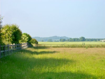 Fields at Molash 2