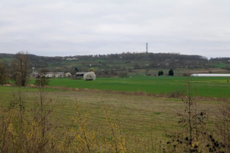Fields and meadows in Ockstadt 2021-04-02 11