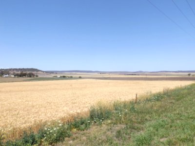 Fields at Felton 2