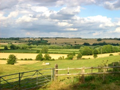 Fields at Middle Aston