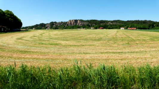 Fields west of Bro Church in Brodalen 1