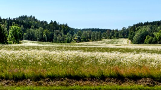 Fields on Röe gård 2 photo