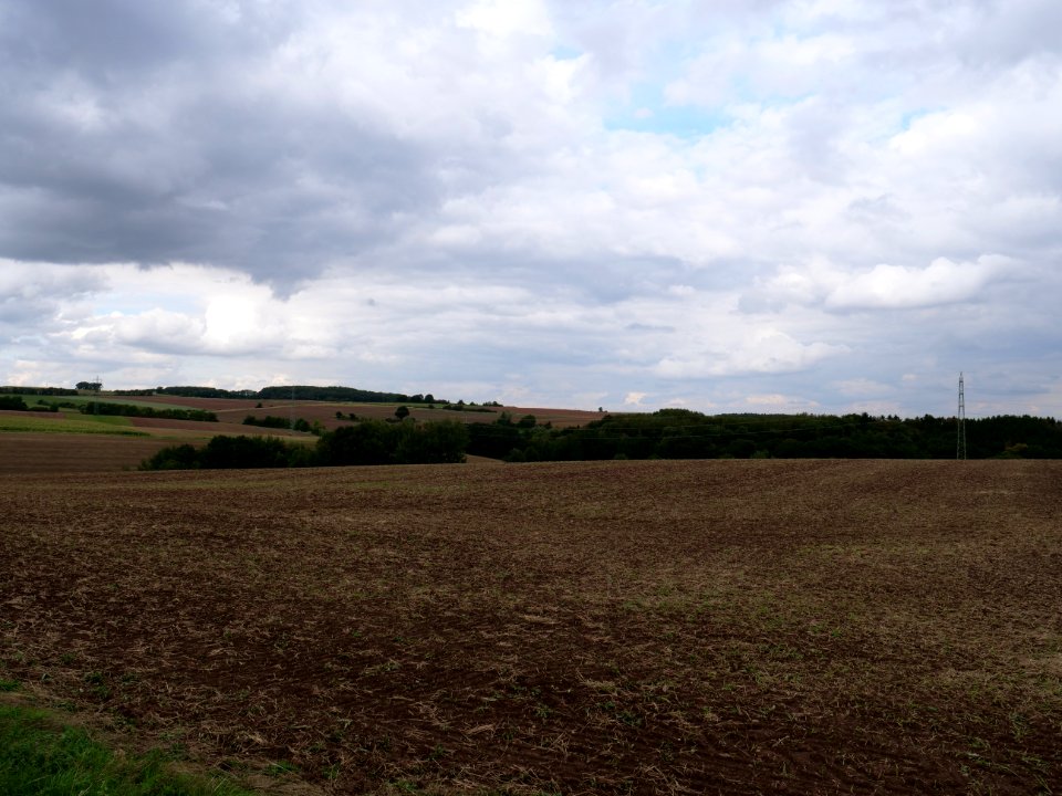 Field near Bergbuir 02