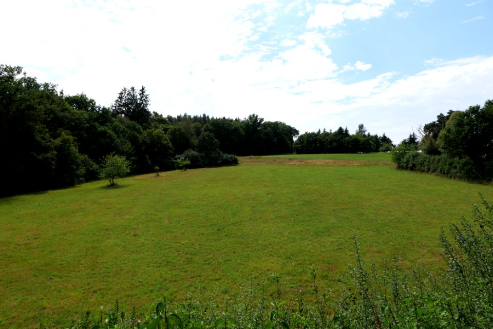Fields near Niederklein 2020-08-21 25