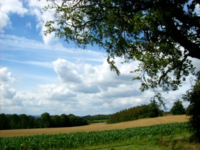 Fields near Goudhurst