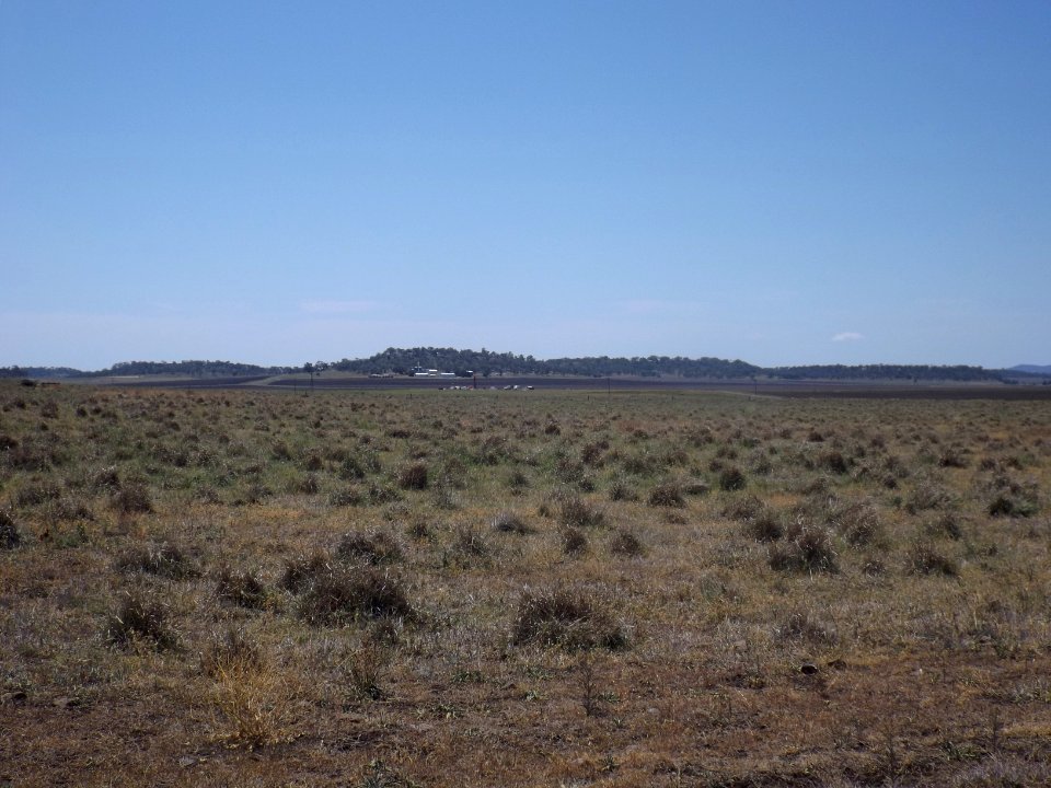 Fields at south Southbrook