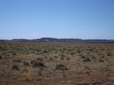 Fields at south Southbrook