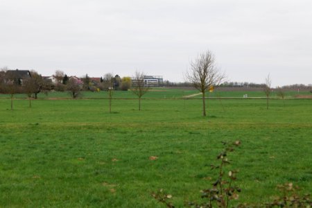 Fields and meadows in Ockstadt 2021-04-02 08