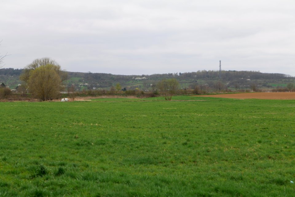 Fields and meadows in Ockstadt 2021-04-02 06