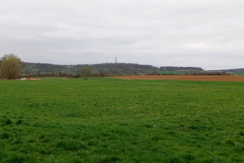 Fields and meadows in Ockstadt 2021-04-02 07