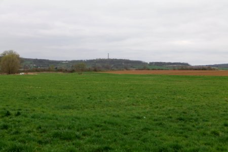 Fields and meadows in Ockstadt 2021-04-02 07