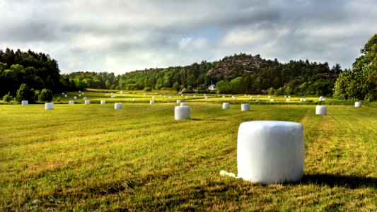 Field and silage bales in Övre Tuntorp 2