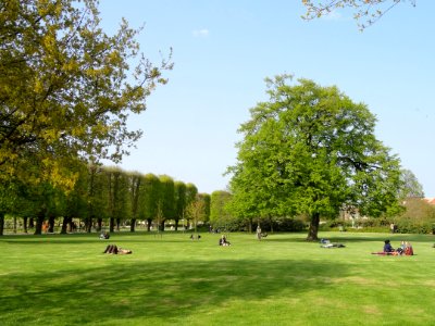 Field - Kongens Have - Copenhagen - DSC08332