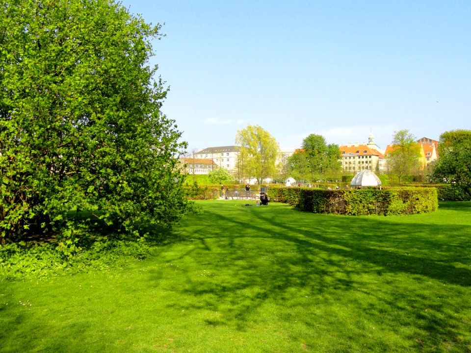 Field - Kongens Have - Copenhagen - DSC08334