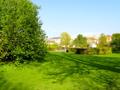 Field - Kongens Have - Copenhagen - DSC08334