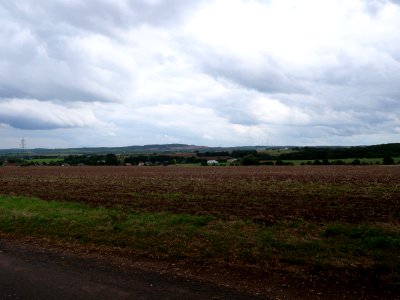 Field near Bergbuir 04