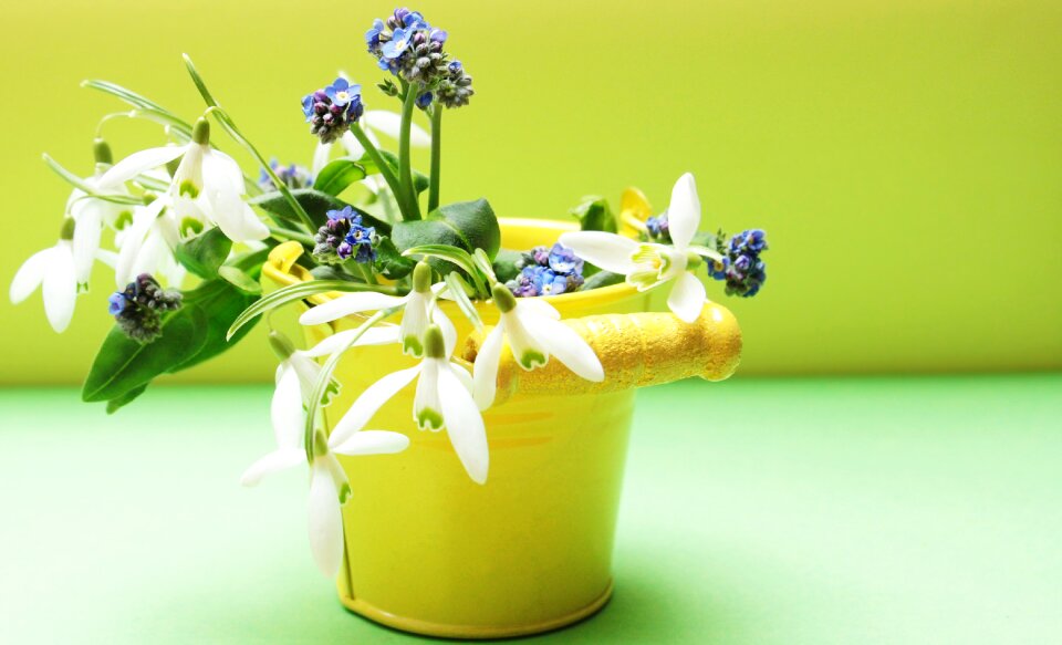 Bucket yellow green