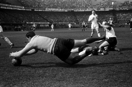 Feyenoord tegen Telstar 4-1, keeper Stuy stopt schot van Gerard 'Pummie' Berghol, Bestanddeelnr 917-6394