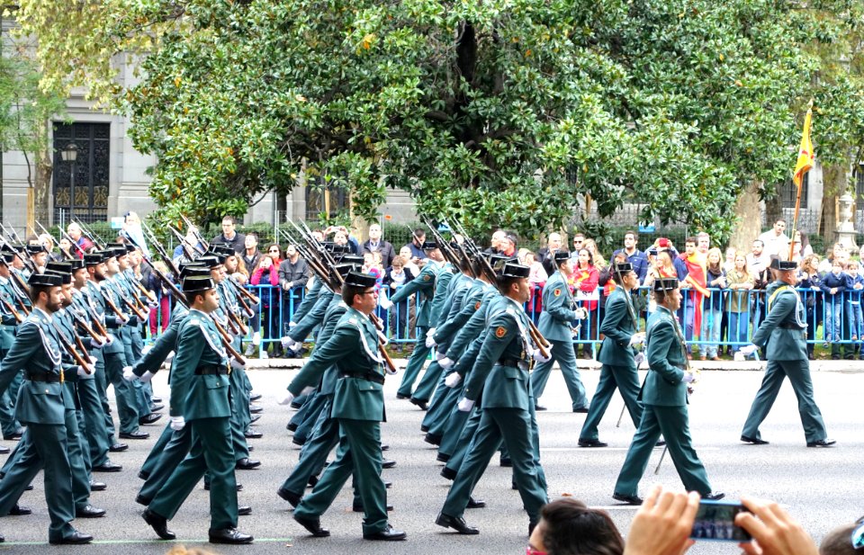 Fiesta Nacional de España, 2014 - Madrid, Spain - DSC08875