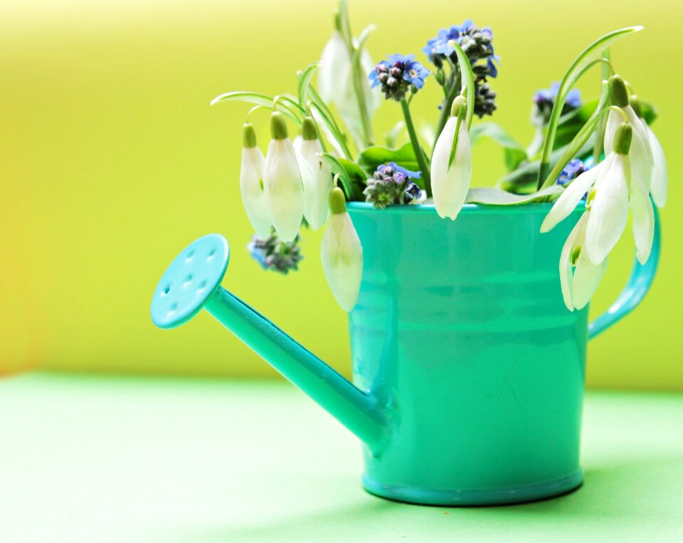 Watering can yellow green
