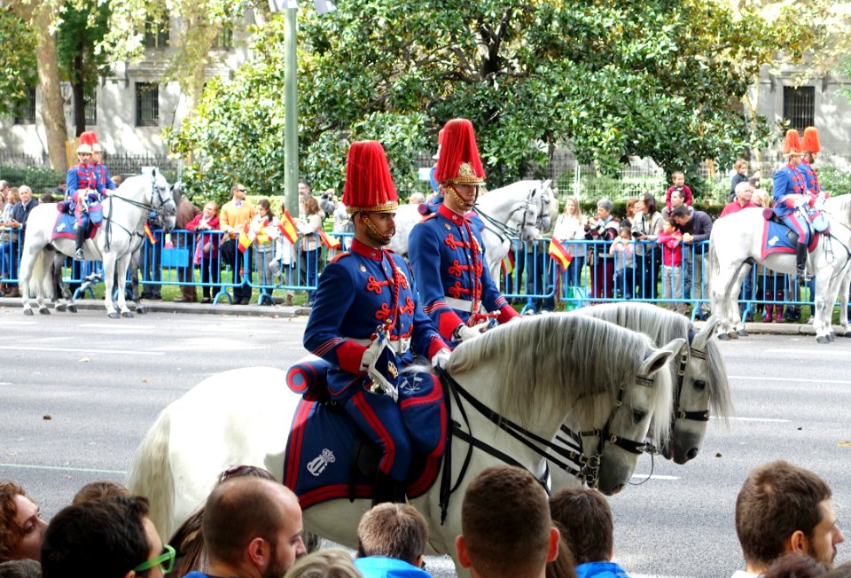 Fiesta Nacional de España, 2014 - Madrid, Spain - DSC08889