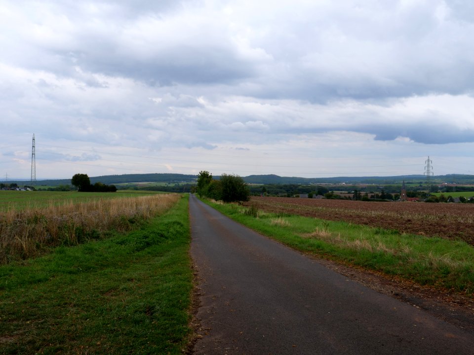 Field near Bergbuir 07