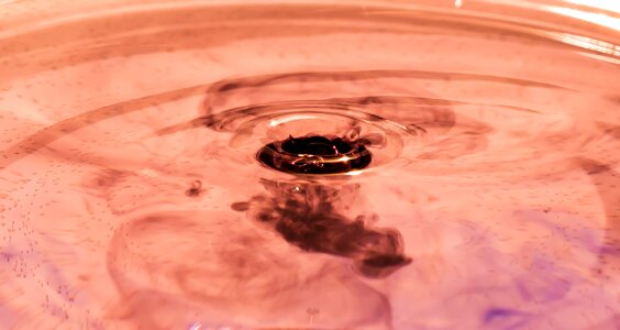 Close up macro liquid photo