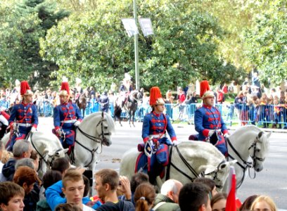 Fiesta Nacional de España, 2014 - Madrid, Spain - DSC08892