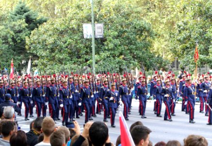Fiesta Nacional de España, 2014 - Madrid, Spain - DSC08862