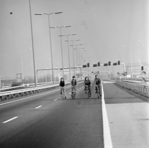 Fietsers op een autosnelweg, Bestanddeelnr 926-8045